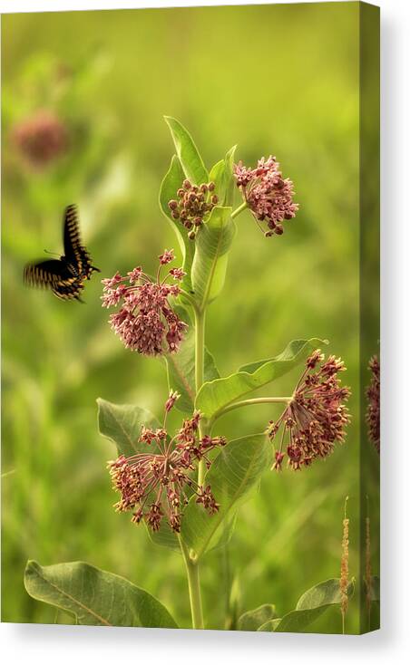 Fine Art America Canvas Print featuring the photograph Color in Motion by Scott Bean