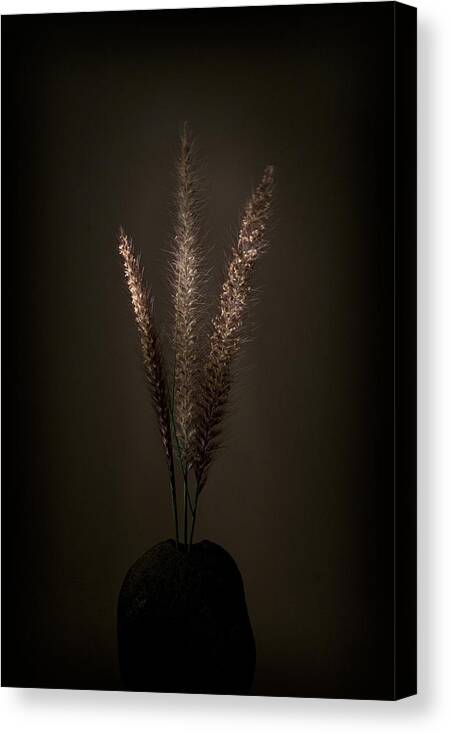 Photography Canvas Print featuring the photograph Flashlight series 5-1 by Lou Novick
