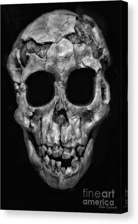 Human Skull Canvas Print featuring the photograph Human Skull Black And White by Blake Richards