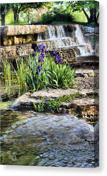    Blue Canvas Print featuring the photograph Iris 1315hdr by Brian Gryphon