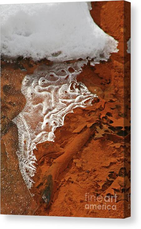Ice Canvas Print featuring the photograph Lacy Ice by Tiffany Whisler