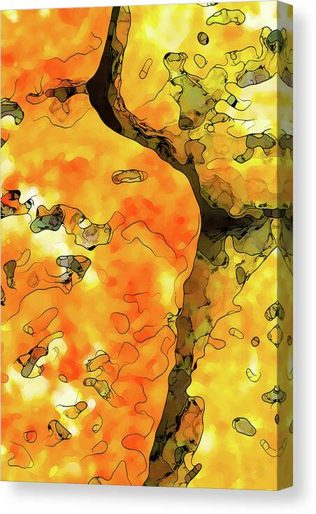 Nature Canvas Print featuring the digital art Lichen Abstract by ABeautifulSky Photography by Bill Caldwell