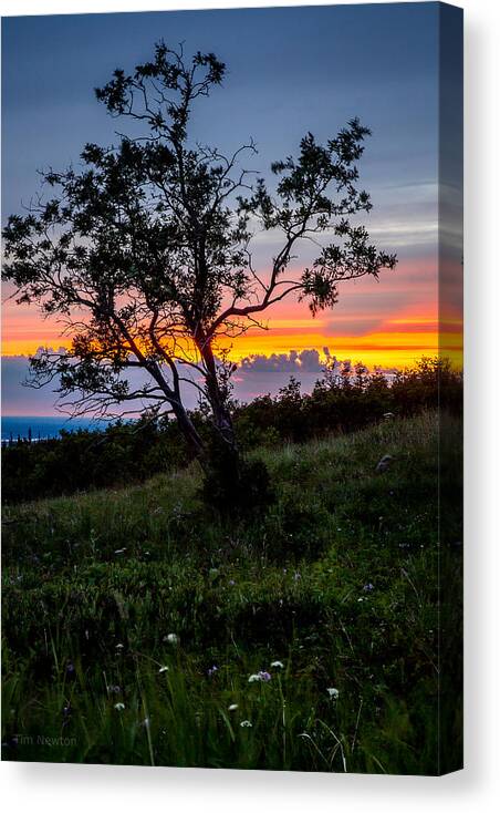 Alaska Canvas Print featuring the photograph Midnight Sunset by Tim Newton