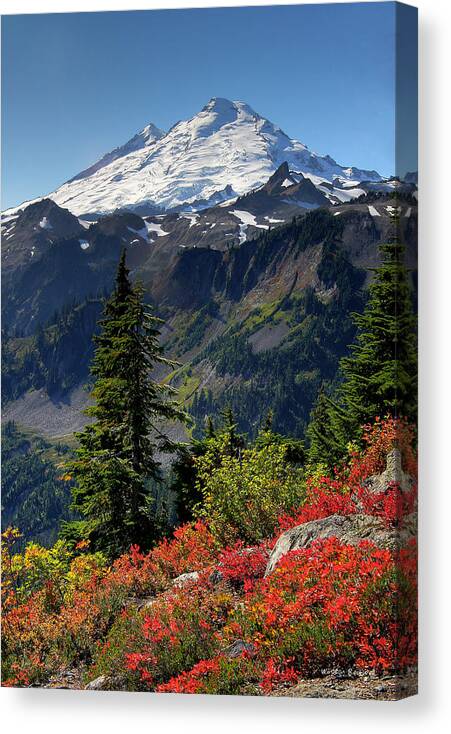 Mountain Canvas Print featuring the photograph Mt. Baker Autumn by Winston Rockwell