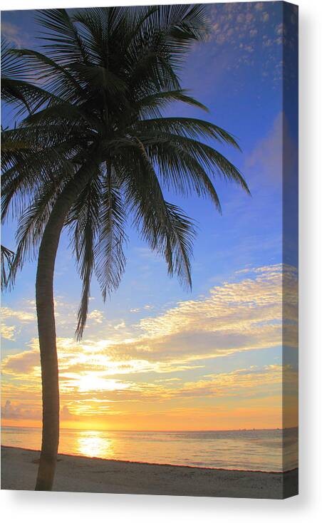 Palm Tree Canvas Print featuring the photograph Palm Tree at Sunrise, Riviera Maya Mexico by Roupen Baker