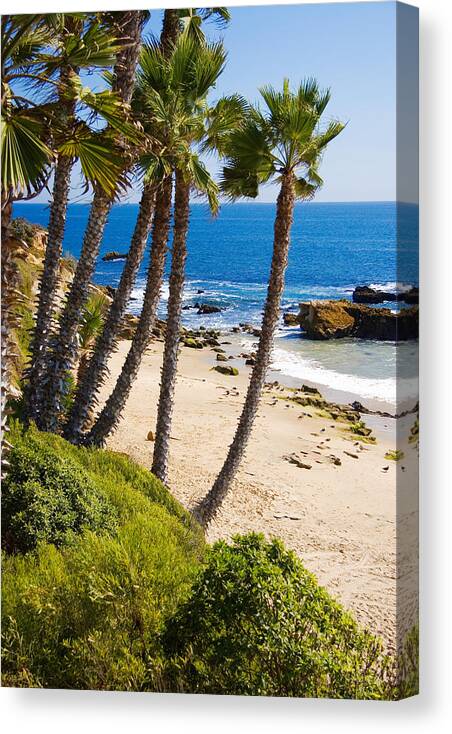 Scenery Canvas Print featuring the photograph Palms and Seashore in Laguna Beach California Coast by Douglas Pulsipher