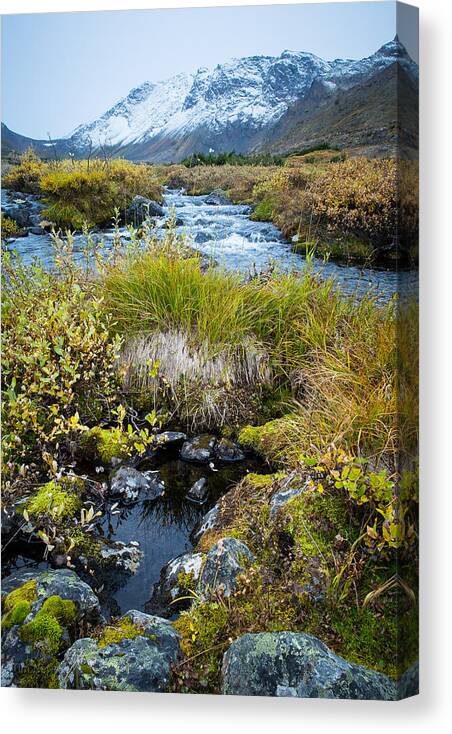 Alaska Canvas Print featuring the photograph River of Termination Dust by Tim Newton