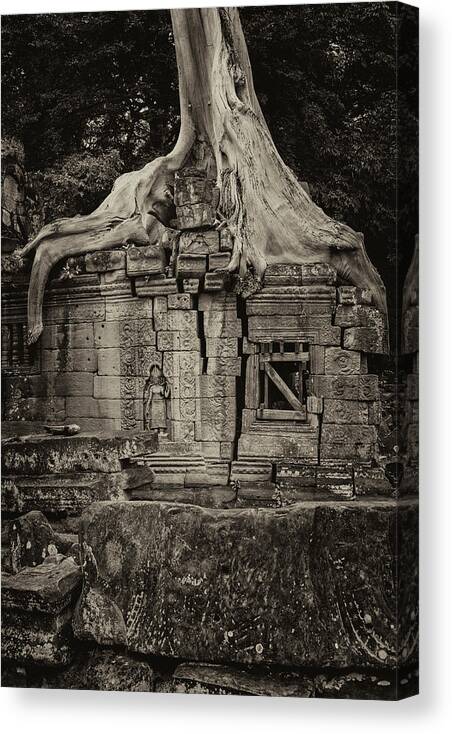 Angkor Canvas Print featuring the photograph Roots In Ruins 5, Ta Prohm, 2014 by Hitendra SINKAR