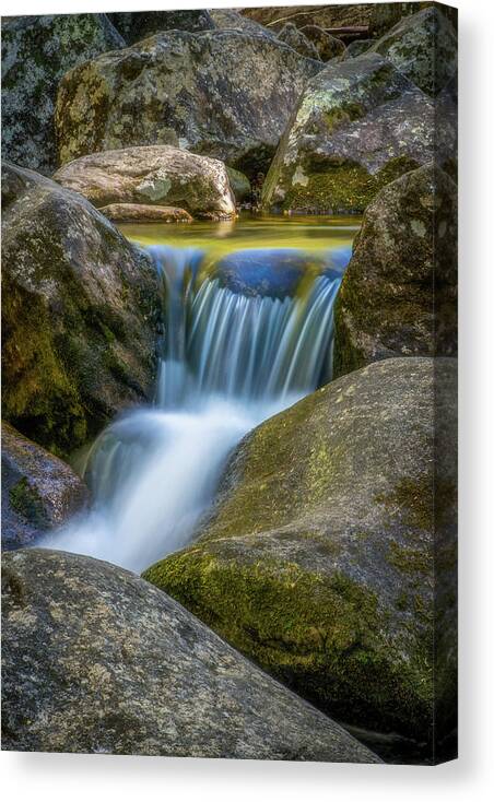 Landscape Canvas Print featuring the photograph South Mtn State Park-1 by Joye Ardyn Durham