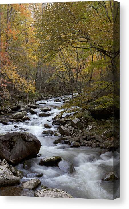 Art Canvas Print featuring the photograph Still Comes by Jon Glaser