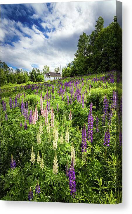 Franconia Notch Canvas Print featuring the photograph Sugar Hill by Robert Clifford