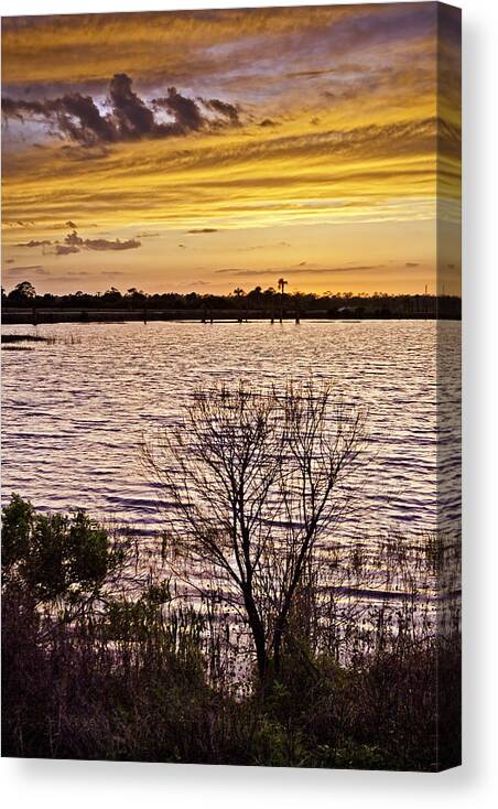 Sunset Canvas Print featuring the photograph Sunset on the Wetlands by Rob Travis