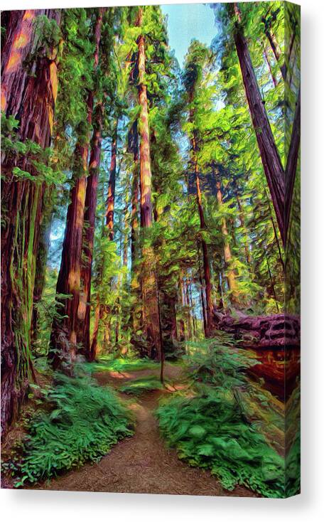 California Canvas Print featuring the digital art Tall Warriors - California Redwoods AP by Dan Carmichael
