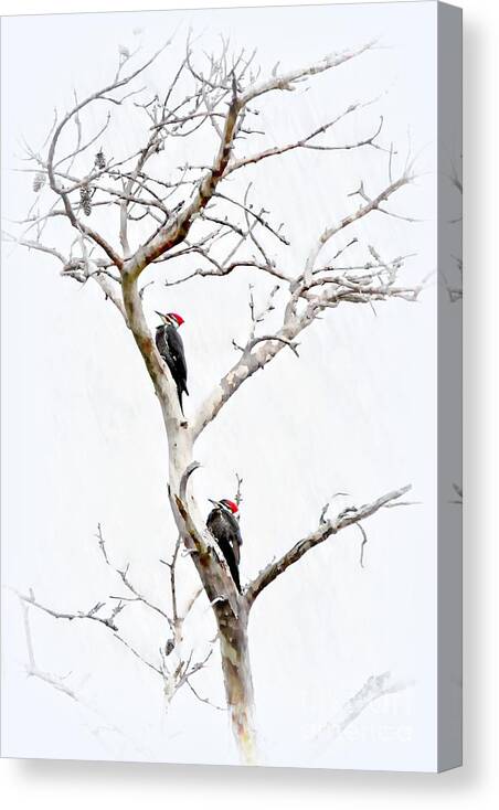 Pileated Woodpecker Canvas Print featuring the photograph The Pileated Pair by Benanne Stiens