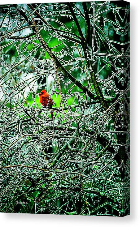 Winter Canvas Print featuring the photograph Waiting For The Thaw by Gerlinde Keating