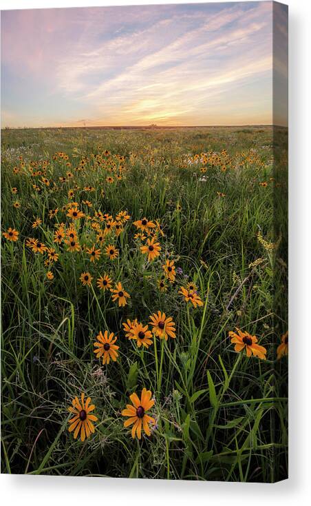 America Canvas Print featuring the photograph Wildflowers by Scott Bean