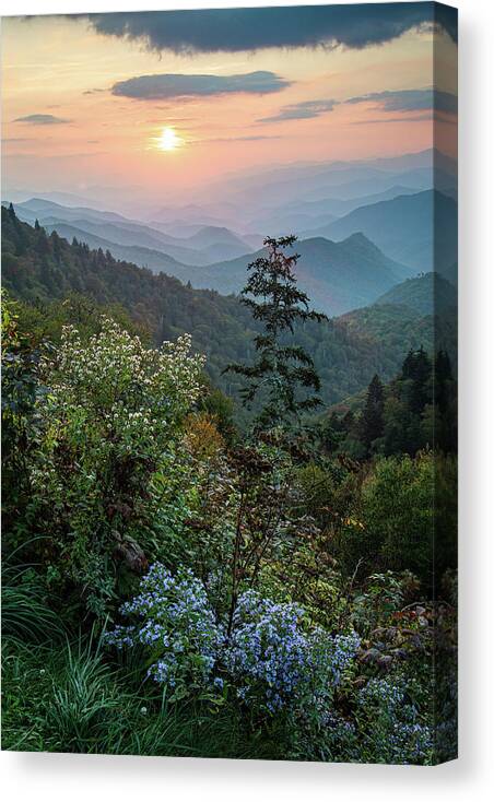 Landscape Canvas Print featuring the photograph Blue Ridge Parkway NC October Wildflowers by Robert Stephens