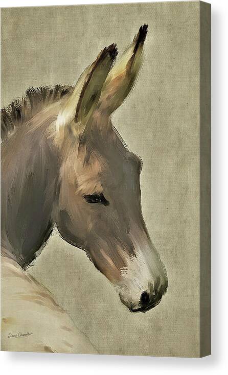 Donkey Canvas Print featuring the painting Donkey by Diane Chandler