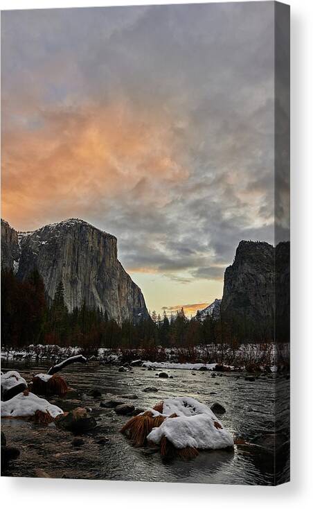 Forest Canvas Print featuring the photograph El Capitan at Sunset by Jon Glaser