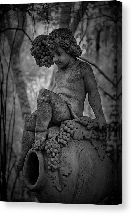 Garden Canvas Print featuring the photograph Magnolia Garden Statue by Jon Glaser