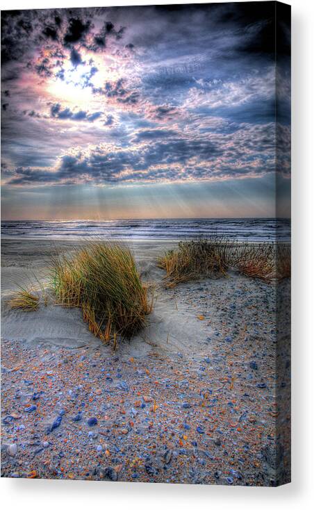 North Carolina Canvas Print featuring the photograph Ocracoke Winter Dunes V by Dan Carmichael