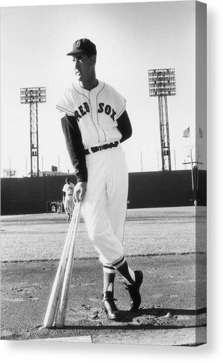 Ted Williams - Baseball Player Canvas Print featuring the photograph Ted Williams by Slim Aarons