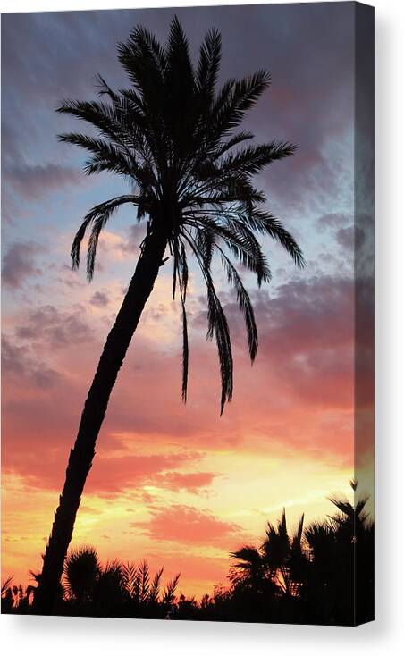 Palm Tree Canvas Print featuring the photograph Tropical Sunset Palm Tree by Roupen Baker