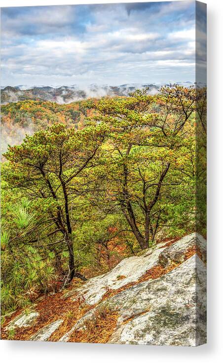 Fall Canvas Print featuring the photograph Cliff Dwellers by Ed Newell