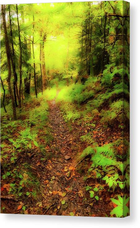 Fall Canvas Print featuring the photograph Autumn A Hike Into the Light fx by Dan Carmichael