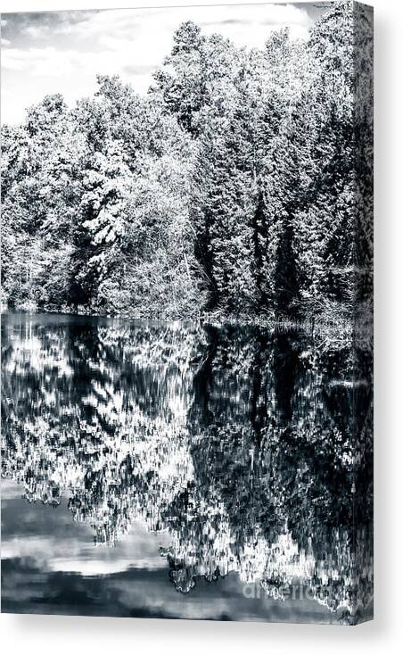 Blended Nature Canvas Print featuring the photograph Blended Nature at Batsto Village in the Pine Barrens by John Rizzuto