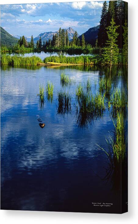  Canvas Print featuring the photograph Evening Beaver Pond by Western Light Graphics