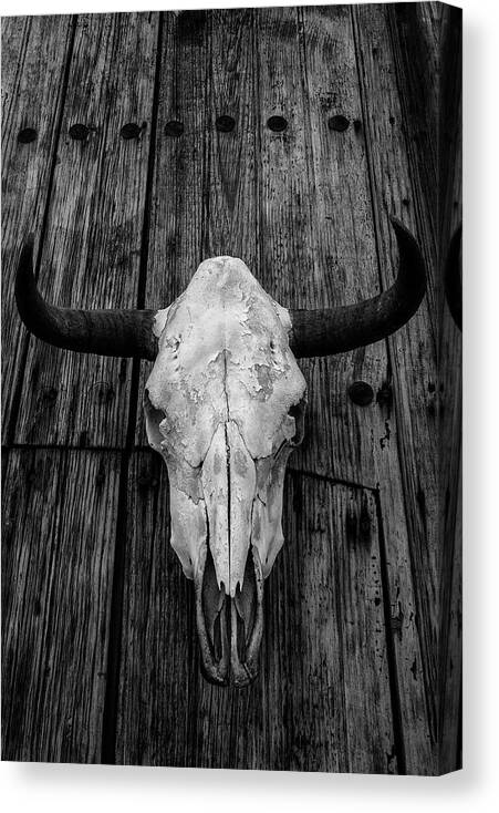 Skull Canvas Print featuring the photograph Fierce by Elin Skov Vaeth