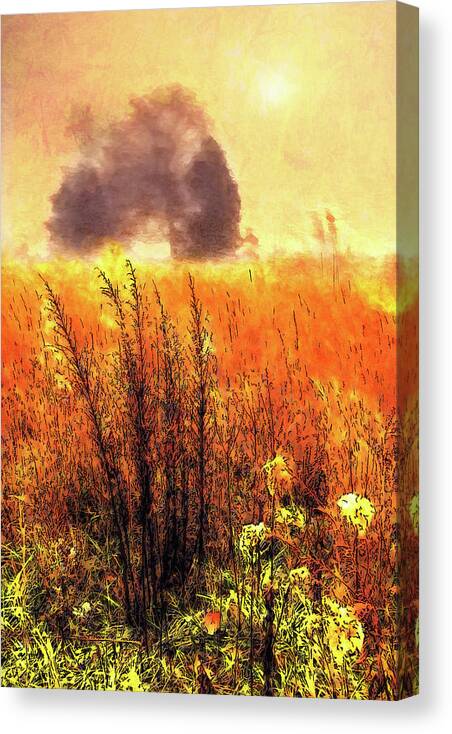 North Carolina Canvas Print featuring the painting Golden Grasses ap by Dan Carmichael
