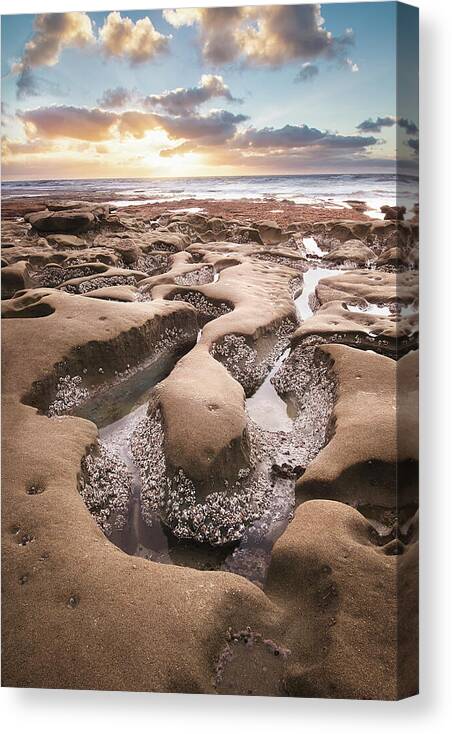 Beautiful Canvas Print featuring the photograph Hospitals Reef La Jolla by Gary Geddes