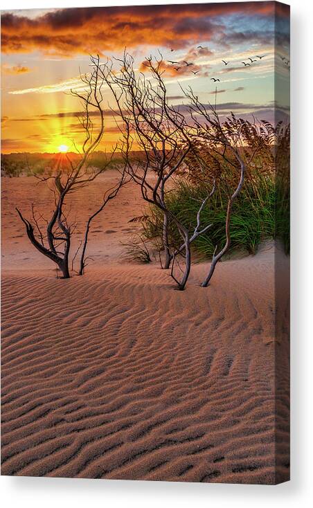 Beach Canvas Print featuring the photograph Outer Banks Hatteras Beach Sunset by Dan Carmichael