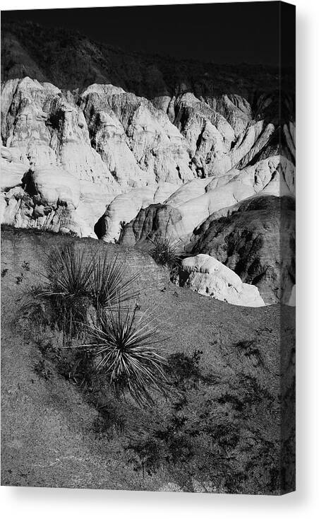 Landscape Canvas Print featuring the photograph Painted Mine 9318 BW by Rick Perkins