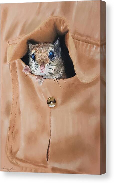 Pocket Pet Canvas Print featuring the painting Pocket Pet- Southern Flying Squirrel by Alexis King-Glandon