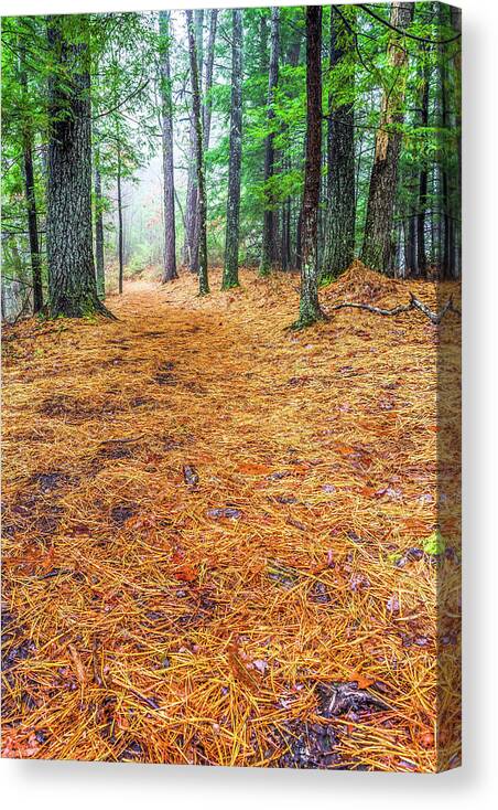 Hiking Canvas Print featuring the photograph The Trail by Ed Newell