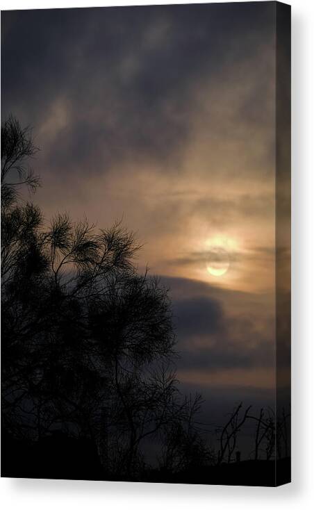 Sunrise Canvas Print featuring the photograph Saharan dawn by Gary Browne