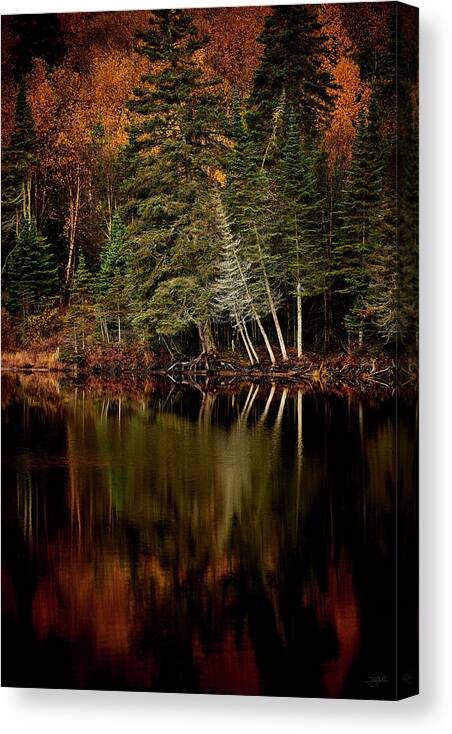 Canada Canvas Print featuring the photograph Sensuous by Doug Gibbons