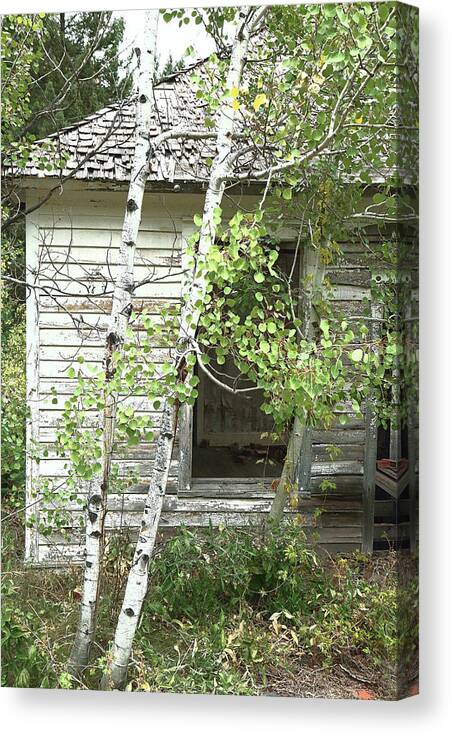 Abandoned Homes Canvas Print featuring the photograph Skagway 9864 by Rick Perkins