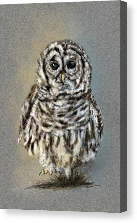 Owl Canvas Print featuring the pastel Stand Up and Be Heard by Jai Johnson