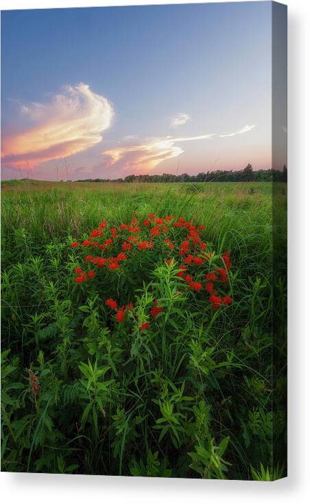 Blue Sky Canvas Print featuring the photograph Summer Color on the Prairie by Scott Bean
