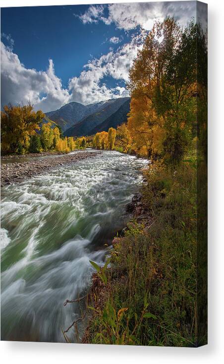 Aspen Canvas Print featuring the photograph The Crystal River in Aspen Colorado by Larry Marshall