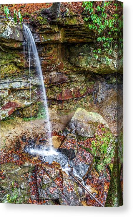 Water Falls Canvas Print featuring the photograph Bell Falls by Ed Newell