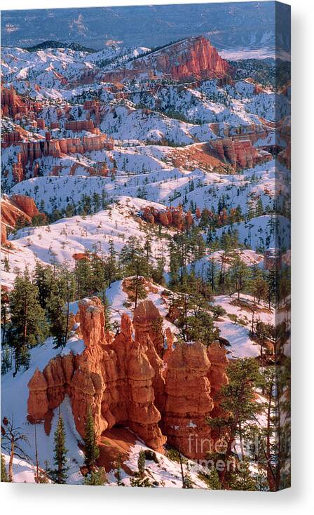 Dave Welling Canvas Print featuring the photograph Winter Sunrise Bryce Canyon National Park by Dave Welling