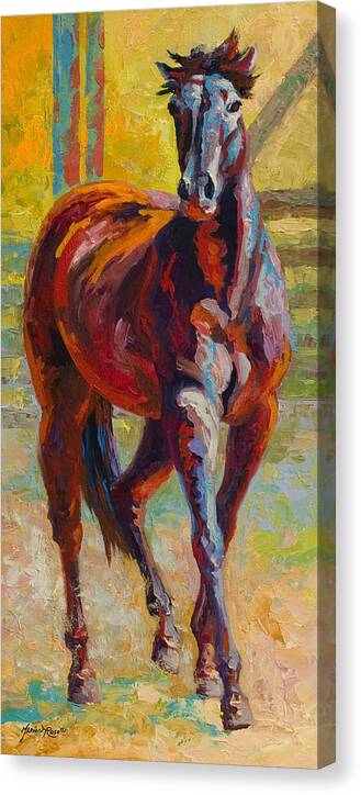 Horses Canvas Print featuring the painting Corral Boss - Mustang by Marion Rose