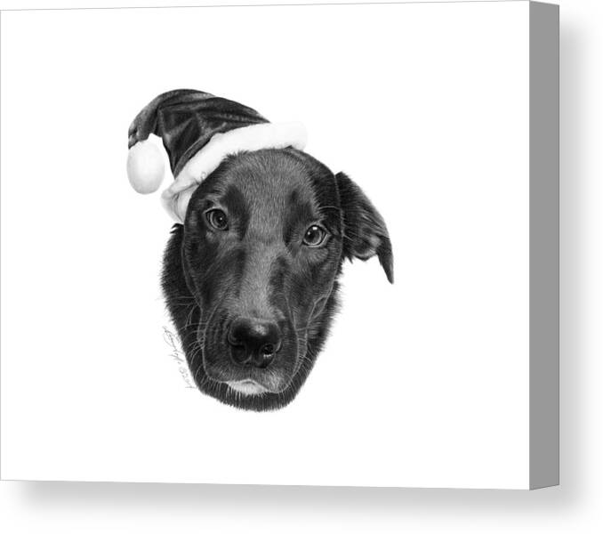 Laborador Border Collie Canvas Print featuring the drawing 039 - 2014 Emmie Christmas by Abbey Noelle