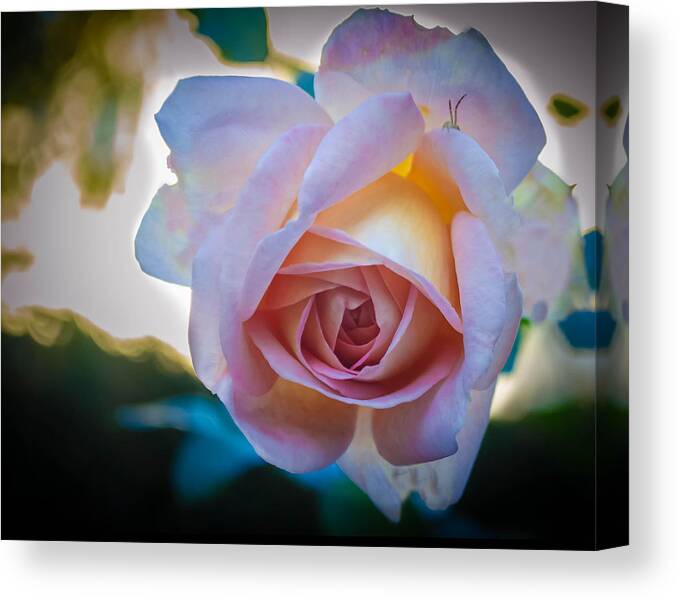 Rose Canvas Print featuring the photograph Autumn Rose by GeeLeesa Productions