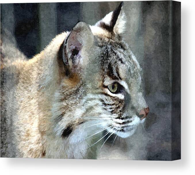 Bobcat Canvas Print featuring the mixed media Bobcat #3 by James Spears